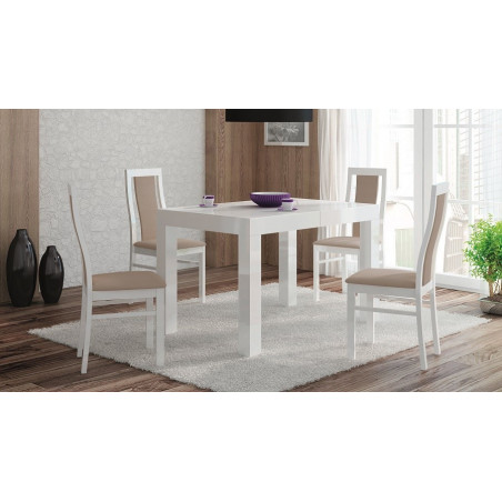 BOMAR STÓŁ 012 80x120-220 BUK