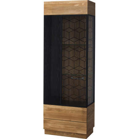 MEBLE SZYNAKA MOSAIC WITRYNA LEWA TYP 10