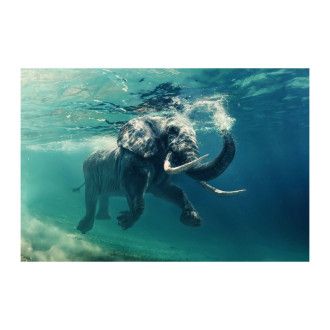  OBRAZ ELEPHANT 120X80 ELEPHANT120 Meble Signal 