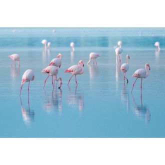  OBRAZ FLAMINGOS 120X80 FLAMINGOS120 Meble Signal 