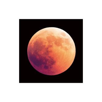  OBRAZ MOON 80X80 MOON80 Meble Signal 