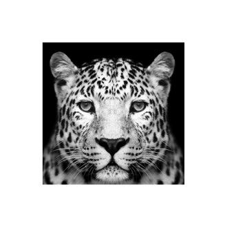  OBRAZ PANTHER 80X80 PANTHER80 Meble Signal 