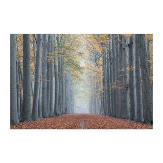  OBRAZ TREES II 120X80 TREESII120 Meble Signal 