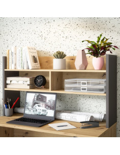 FORTE MODULTRICK Nadstawka do biurka MDUN121 kolor M329